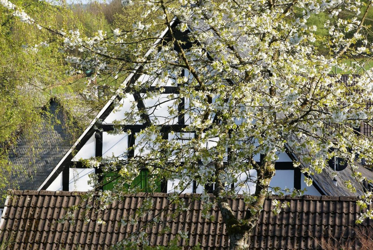 Gasthof Schumacher Hotel Garni Freudenberg  Εξωτερικό φωτογραφία